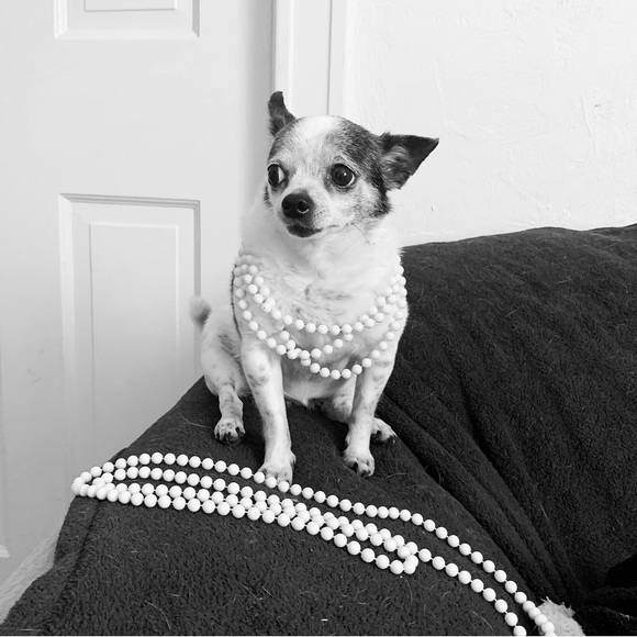 Dresses - Picture 2 of 2